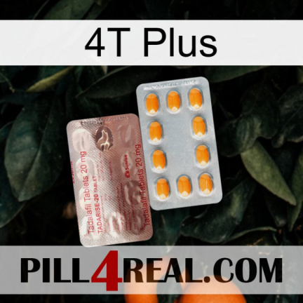 4T Plus new13